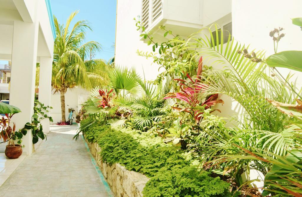 Corales Suites بويرتو موريلوس المظهر الخارجي الصورة