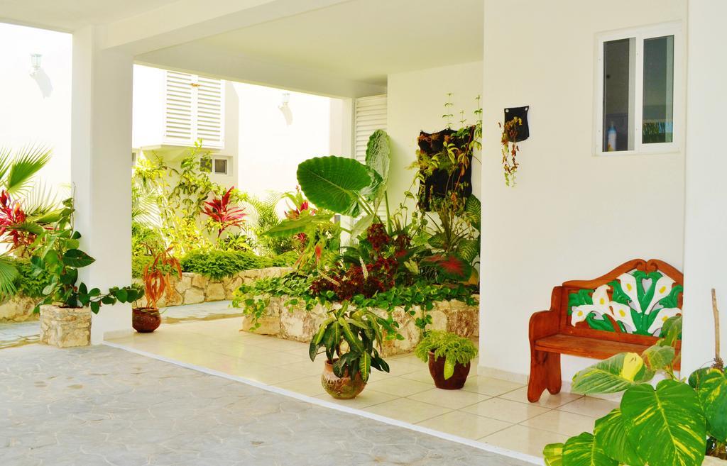 Corales Suites بويرتو موريلوس المظهر الخارجي الصورة